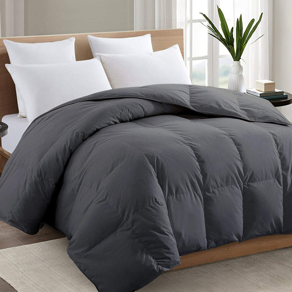 Ebern Designs Queen All Season Microfiber Down Comforter Wayfair